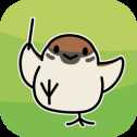 鳥之音TorinoOto