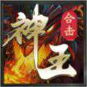 神王合擊超變