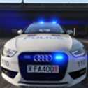 奧迪警車(chē)模擬器