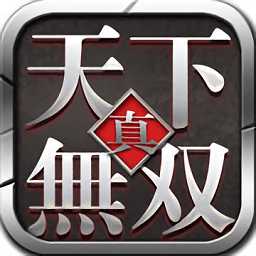 真天下無(wú)雙百度多酷版