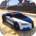 警車抓捕2020