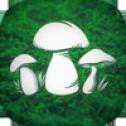 蘑菇獵人模擬器