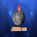 跑步貓Runner Cat