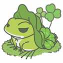 養(yǎng)青蛙