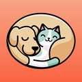 peppycat貓咪小游戲